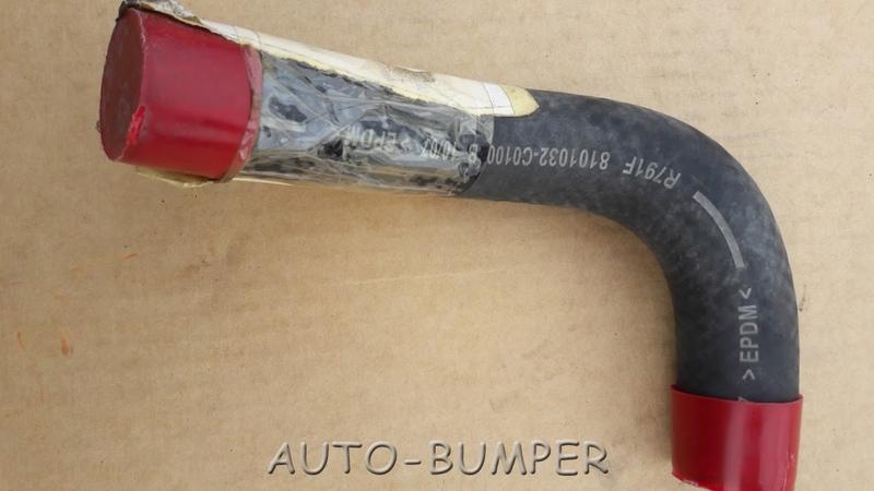 DongFeng Патрубок отопителя выпускной 8101032-С0100, 8101032С0100 