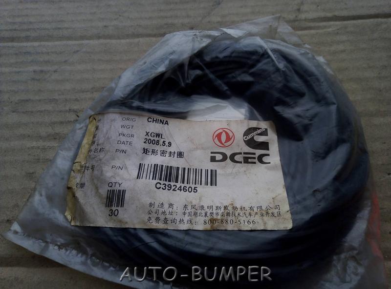 Кольцо под шестерню ТНВД Cummins 6CT, 6L 3924605