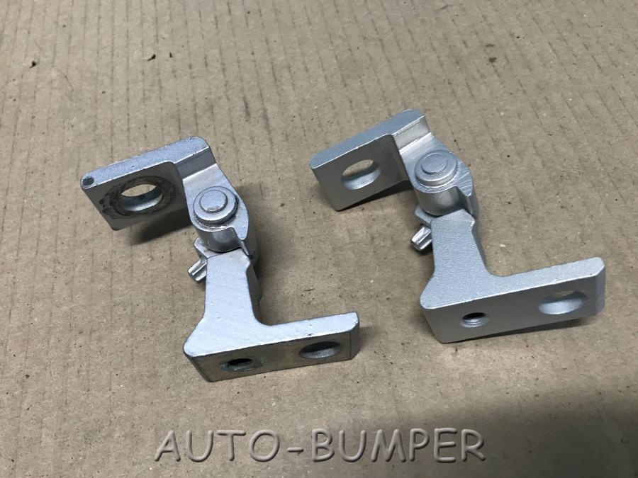 Volkswagen Tiguan Петля двери  5N0831401