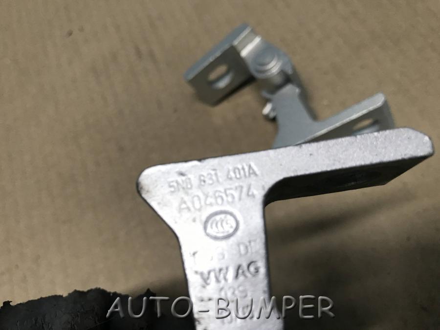 Volkswagen Tiguan Петля двери  5N0831401