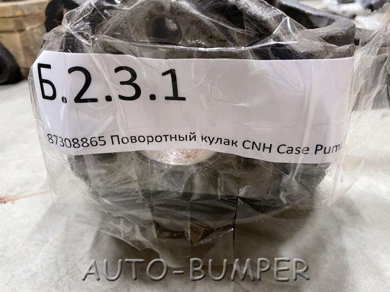 Case Puma 160 Поворотный кулак переднего моста 87308865