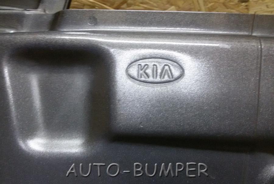 Kia Sorento 2009- Дверь передняя правая  760042P010