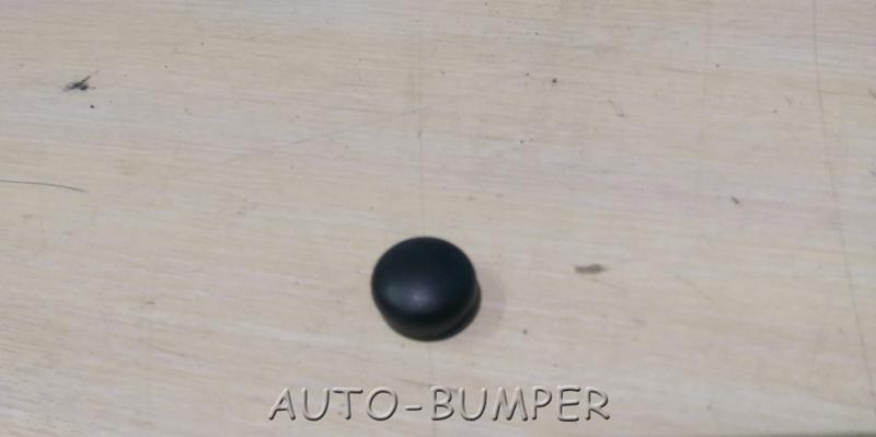 Volkswagen-Колпачок поводка стеклоочистителя 1J0955205A