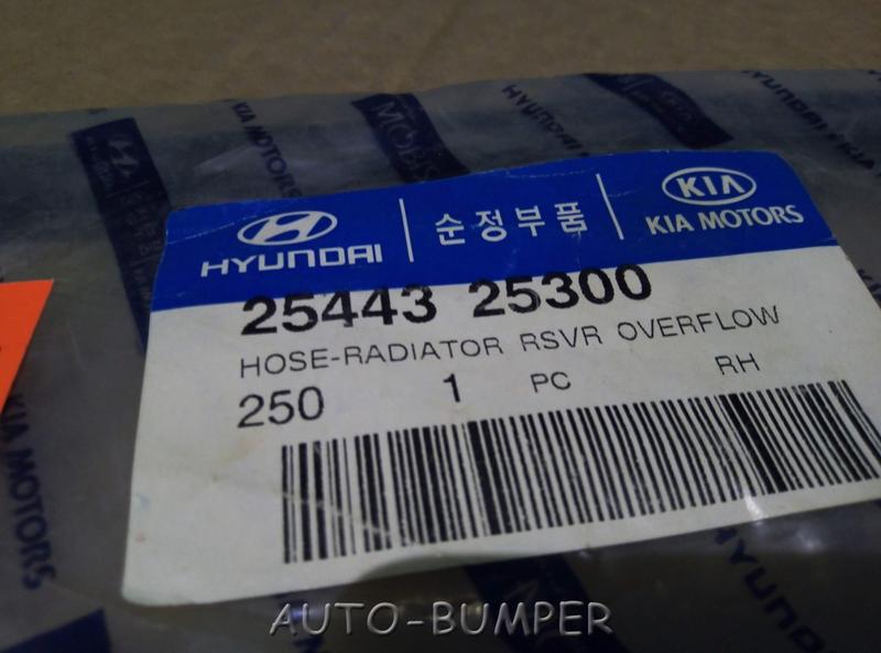 Hyundai Accent 1999- Шланг расширительного бачка 25443-25300 25443 25300 2544325300